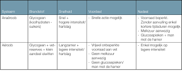 Duursport in combinatie met een koolhydraatarme levensstijl - PowerSlim |  Afvallen samen met je coach